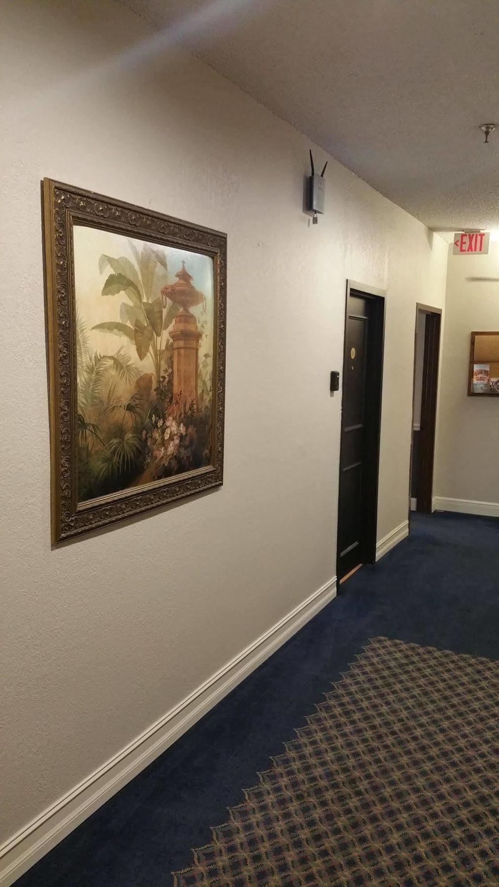 Hyde Park Hotel Τάμπα Εξωτερικό φωτογραφία